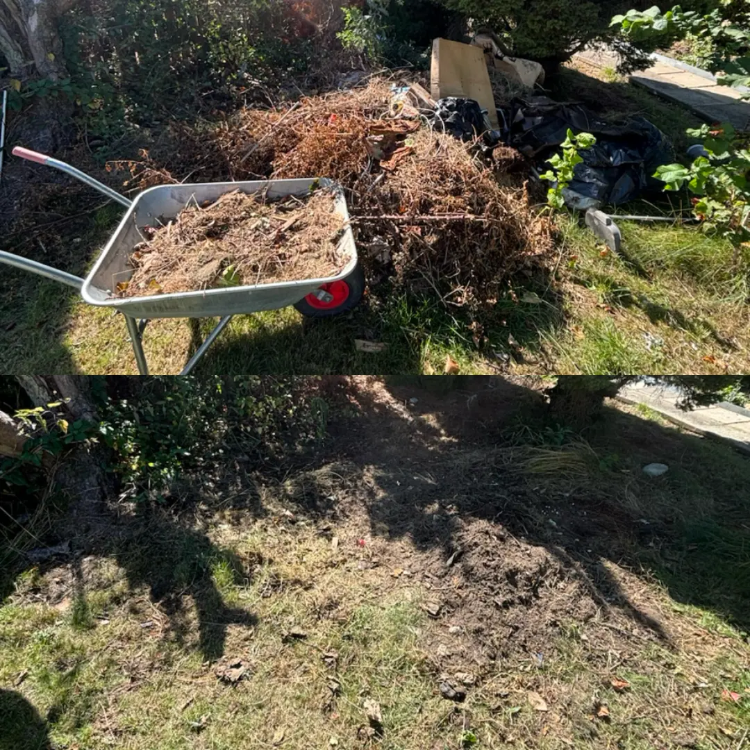 Före och efter: trädgård med hög av ris, löv och avfall samt skottkärra som forslats bort, ren mark efteråt – före